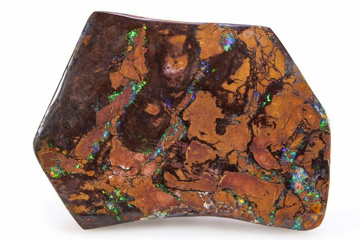 Flashy Polished Boulder Opal Specimen - Queensland, Australia #383703